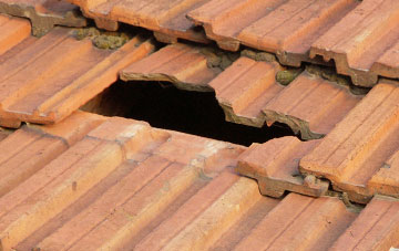 roof repair Hawne, West Midlands